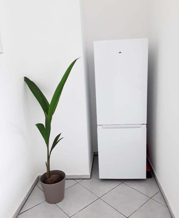 Schoene, Ruhige Zweiraumwohnung Im Angesagten Altlindenau Lipcse Kültér fotó